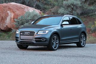  SQ5 I 2013-2017