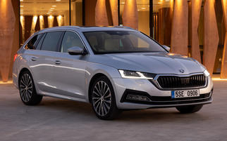  Octavia IV Κόμπι  2019