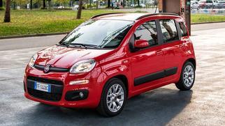 Panda III City Cross 2020-2018
