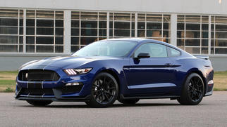 Shelby III 2016